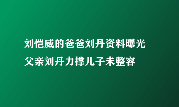 刘恺威的爸爸刘丹资料曝光 父亲刘丹力撑儿子未整容