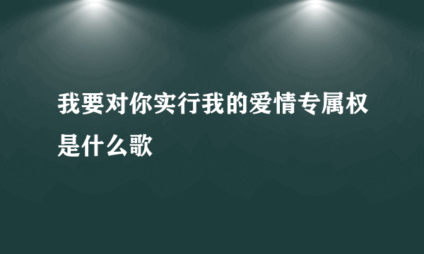 我要对你实行我的爱情专属权是什么歌