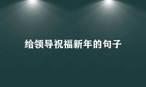 给领导祝福新年的句子