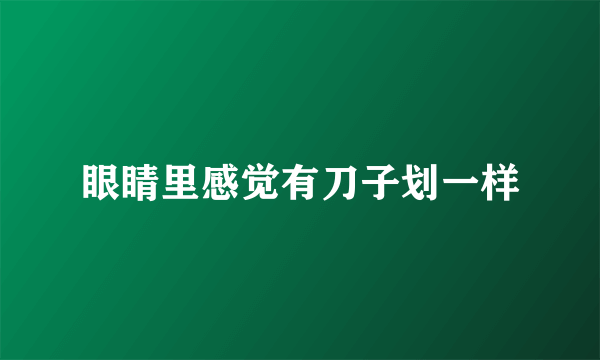 眼睛里感觉有刀子划一样