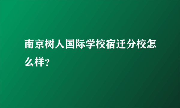 南京树人国际学校宿迁分校怎么样？