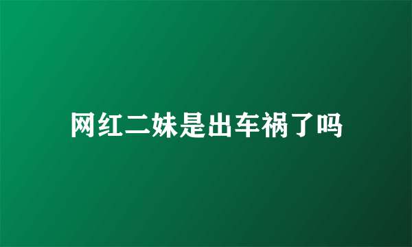 网红二妹是出车祸了吗