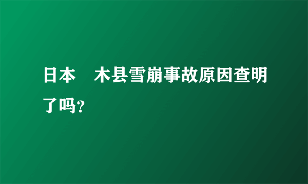 日本栃木县雪崩事故原因查明了吗？