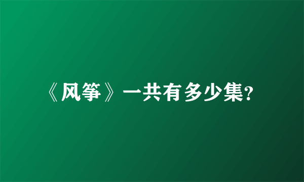 《风筝》一共有多少集？