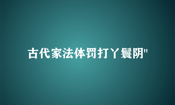 古代家法体罚打丫鬟阴