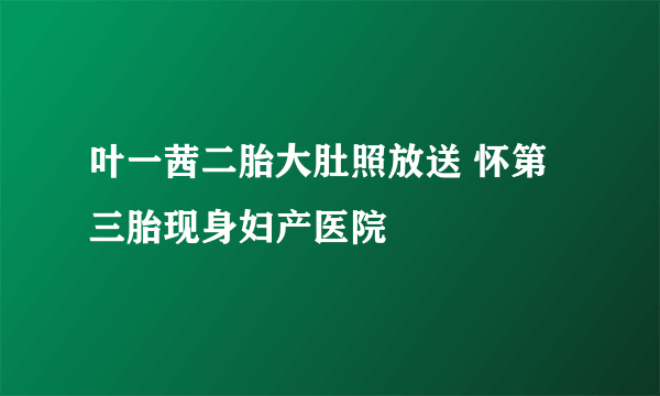 叶一茜二胎大肚照放送 怀第三胎现身妇产医院