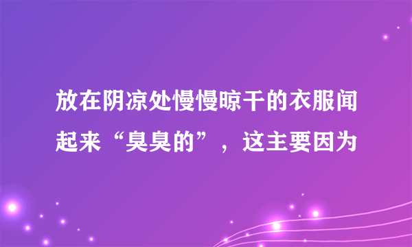 放在阴凉处慢慢晾干的衣服闻起来“臭臭的”，这主要因为