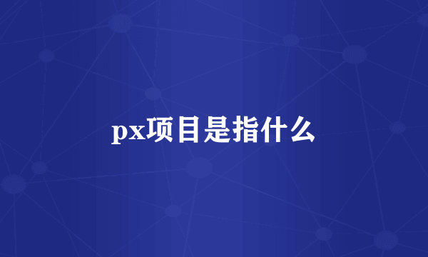 px项目是指什么