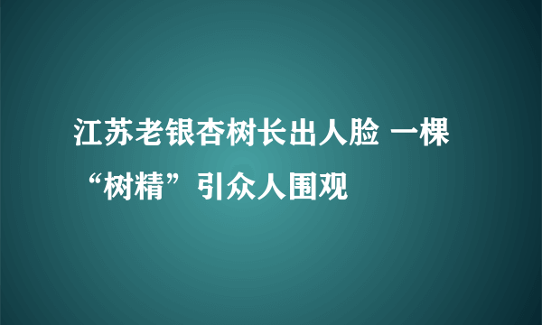 江苏老银杏树长出人脸 一棵“树精”引众人围观