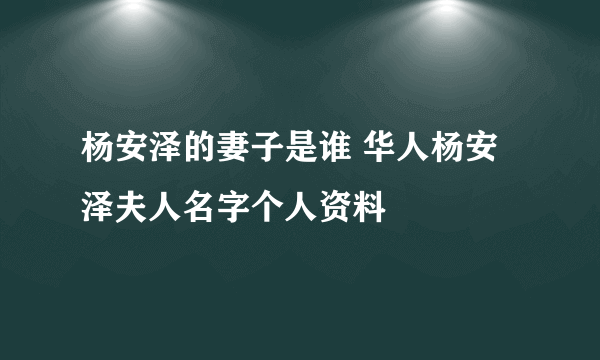 杨安泽的妻子是谁 华人杨安泽夫人名字个人资料