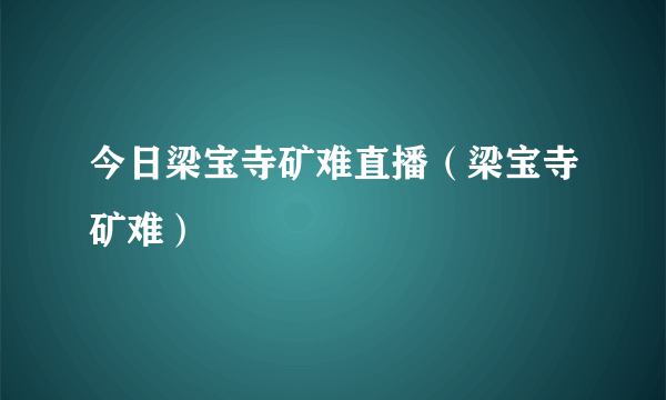 今日梁宝寺矿难直播（梁宝寺矿难）