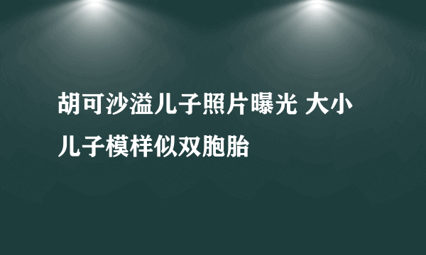 胡可沙溢儿子照片曝光 大小儿子模样似双胞胎