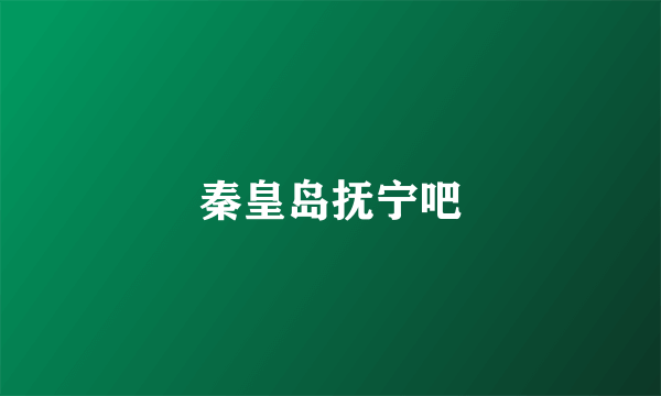 秦皇岛抚宁吧