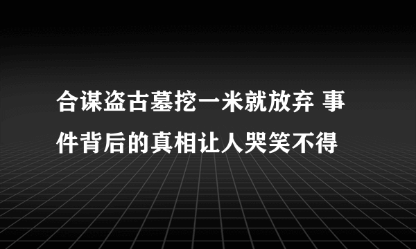 合谋盗古墓挖一米就放弃 事件背后的真相让人哭笑不得