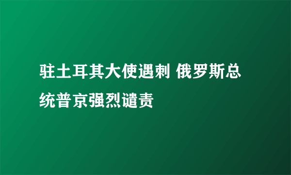 驻土耳其大使遇刺 俄罗斯总统普京强烈谴责