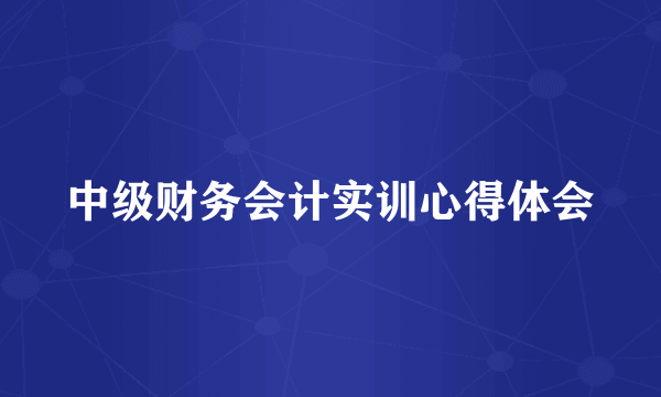 中级财务会计实训心得体会