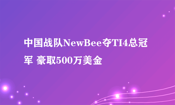 中国战队NewBee夺TI4总冠军 豪取500万美金