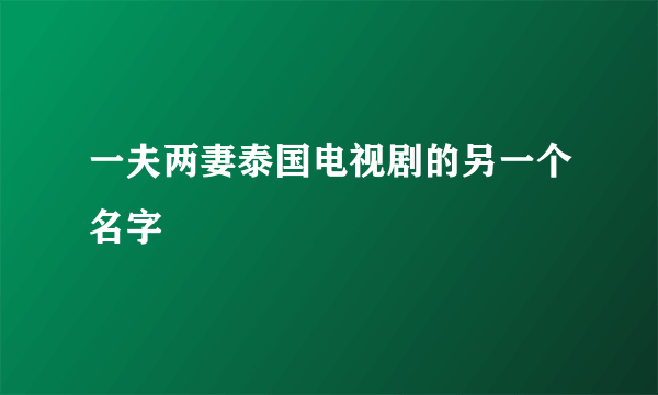 一夫两妻泰国电视剧的另一个名字