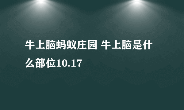 牛上脑蚂蚁庄园 牛上脑是什么部位10.17