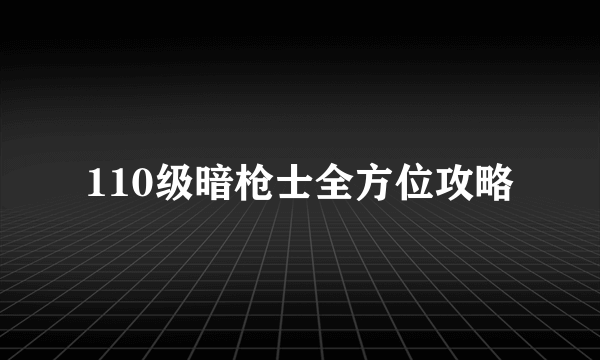 110级暗枪士全方位攻略