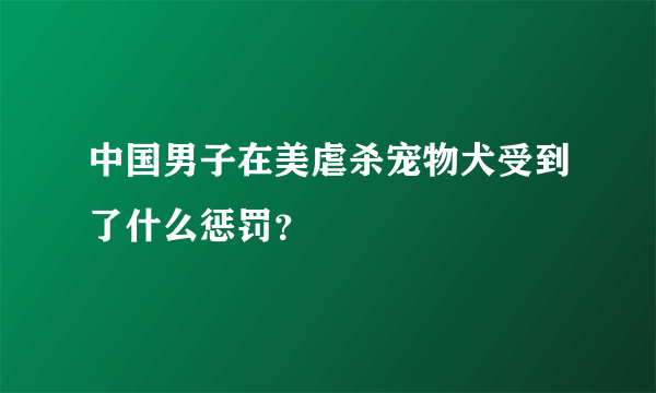 中国男子在美虐杀宠物犬受到了什么惩罚？