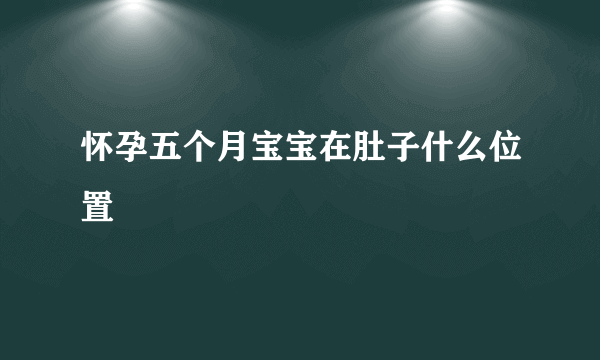 怀孕五个月宝宝在肚子什么位置