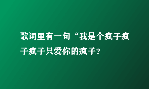 歌词里有一句“我是个疯子疯子疯子只爱你的疯子？