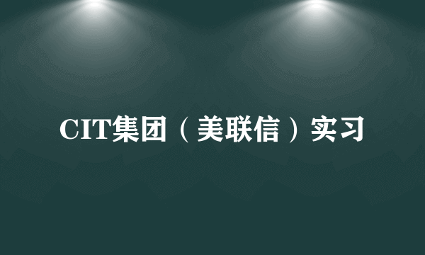 CIT集团（美联信）实习