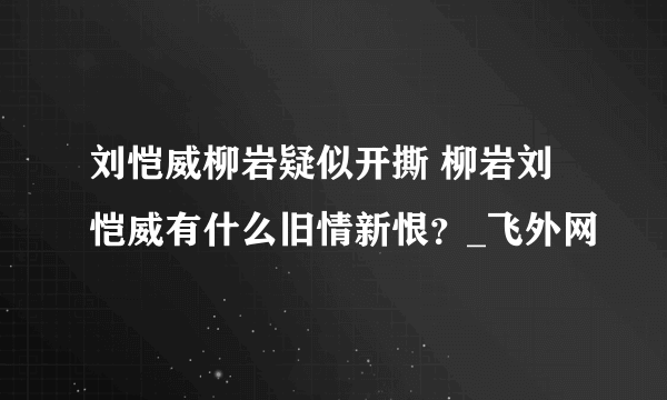 刘恺威柳岩疑似开撕 柳岩刘恺威有什么旧情新恨？_飞外网