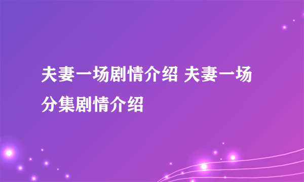 夫妻一场剧情介绍 夫妻一场分集剧情介绍