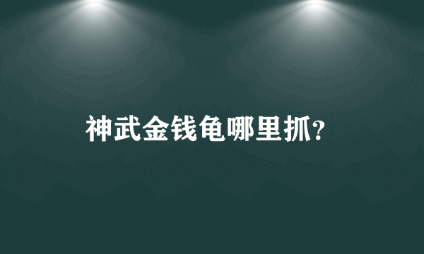 神武金钱龟哪里抓？