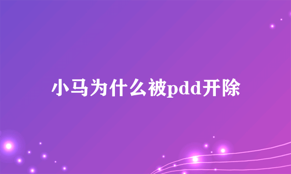 小马为什么被pdd开除