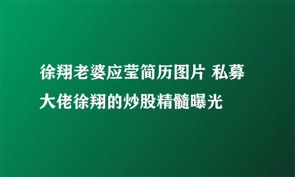 徐翔老婆应莹简历图片 私募大佬徐翔的炒股精髓曝光