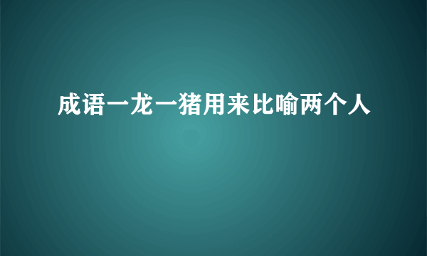 成语一龙一猪用来比喻两个人