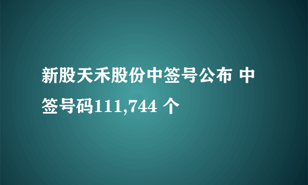 新股天禾股份中签号公布 中签号码111,744 个