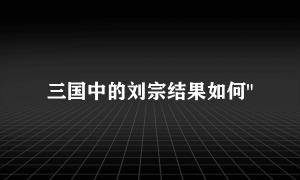 三国中的刘宗结果如何