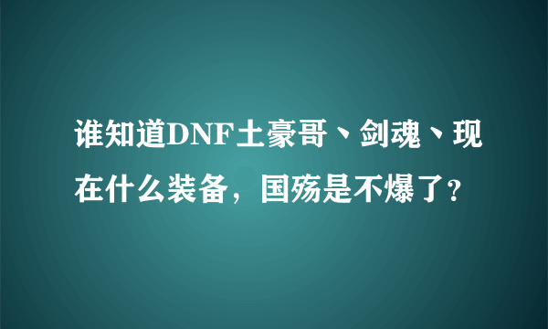 谁知道DNF土豪哥丶剑魂丶现在什么装备，国殇是不爆了？