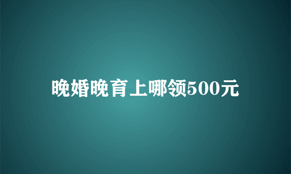 晚婚晚育上哪领500元