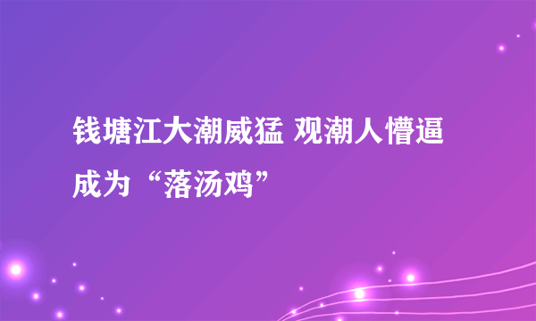 钱塘江大潮威猛 观潮人懵逼成为“落汤鸡”