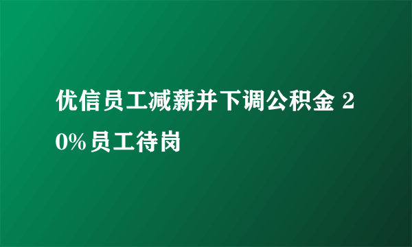 优信员工减薪并下调公积金 20%员工待岗