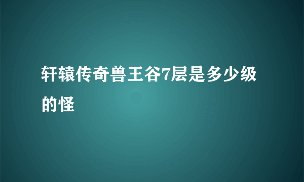 轩辕传奇兽王谷7层是多少级的怪