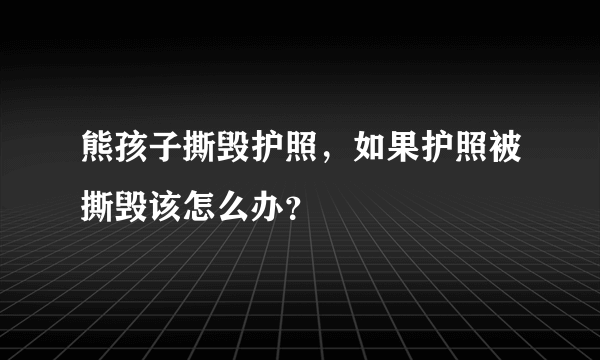 熊孩子撕毁护照，如果护照被撕毁该怎么办？