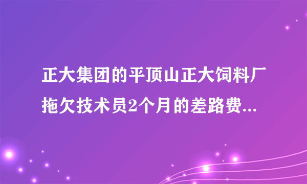 正大集团的平顶山正大饲料厂拖欠技术员2个月的差路费怎么办？