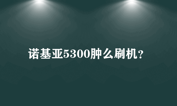 诺基亚5300肿么刷机？