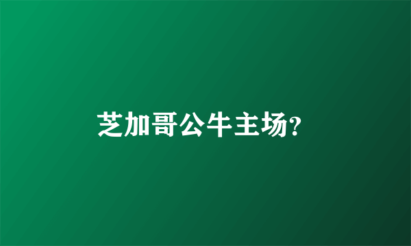 芝加哥公牛主场？