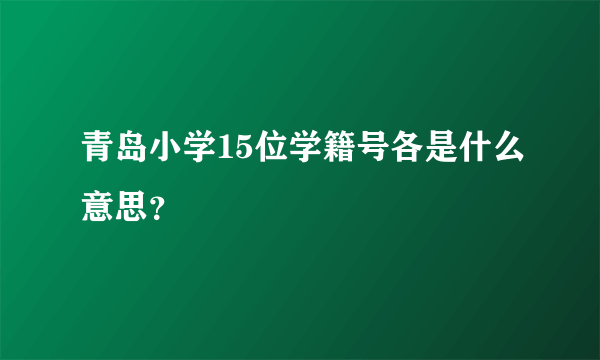 青岛小学15位学籍号各是什么意思？