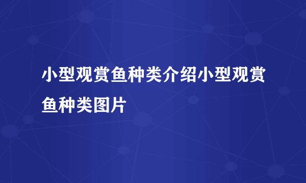 小型观赏鱼种类介绍小型观赏鱼种类图片