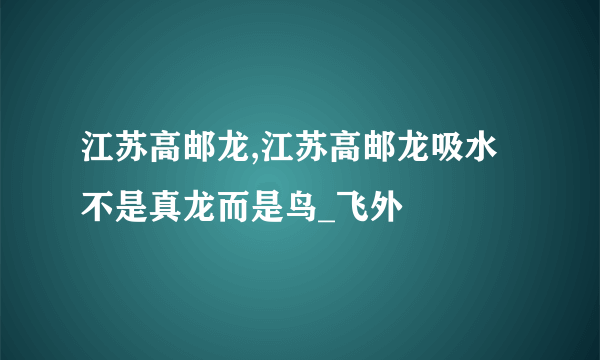 江苏高邮龙,江苏高邮龙吸水不是真龙而是鸟_飞外