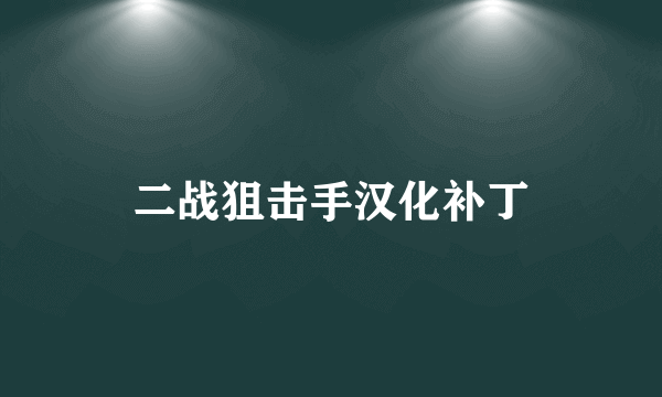 二战狙击手汉化补丁