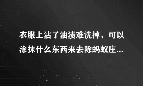 衣服上沾了油渍难洗掉，可以涂抹什么东西来去除蚂蚁庄园10月5日问题答案_飞外手游门户